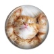 Cabochon Résine - chaton