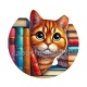 chat