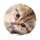 chaton