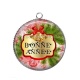 Pendentif Cabochon Argent - bonne année