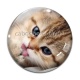Cabochon Verre - chaton