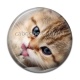 Cabochon Résine - chaton