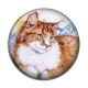 Cabochon Résine - chat