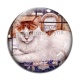 Cabochon Verre - chat