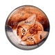 Cabochon Résine - chat