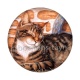 chat