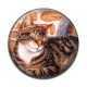 Cabochon Résine - chat