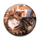 Cabochon Verre - chat