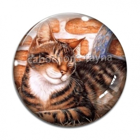 Cabochon Verre - chat