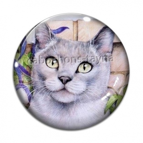 Cabochon Verre - chat