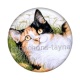 chat