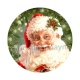 père noël