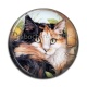 Cabochon Résine - chat