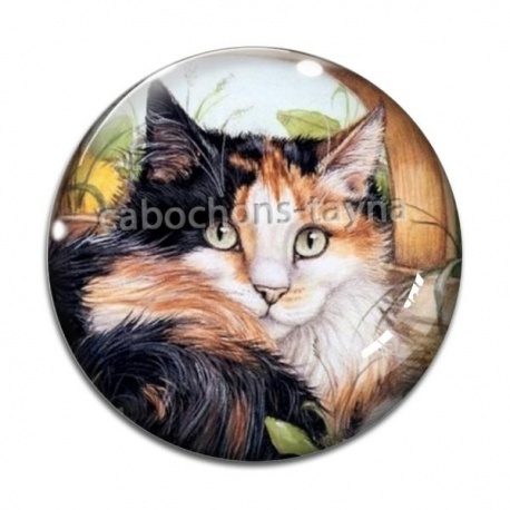 Cabochon Verre - chat