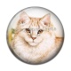 Cabochon Résine - chat