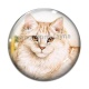 Cabochon Verre - chat