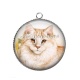 Pendentif Cabochon Argent - chat
