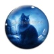 Cabochon Verre - chat
