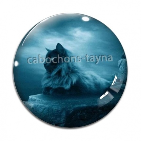 Cabochon Verre - chat