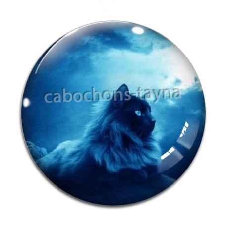 Cabochon Verre - chat