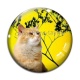 Cabochon Verre - chat