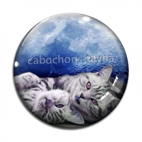 Cabochon Verre - chat