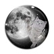 Cabochon Verre - chat