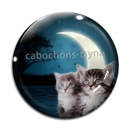 Cabochon Verre - chaton
