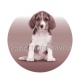 chien