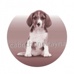 chien