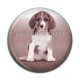 Cabochon Résine - chien