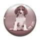 Cabochon Verre - chien