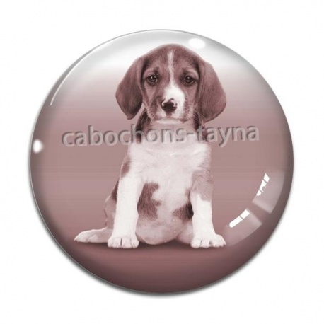 Cabochon Verre - chien