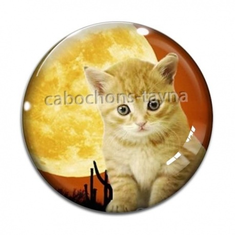 Cabochon Verre - chaton