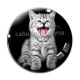 Cabochon Verre - chaton