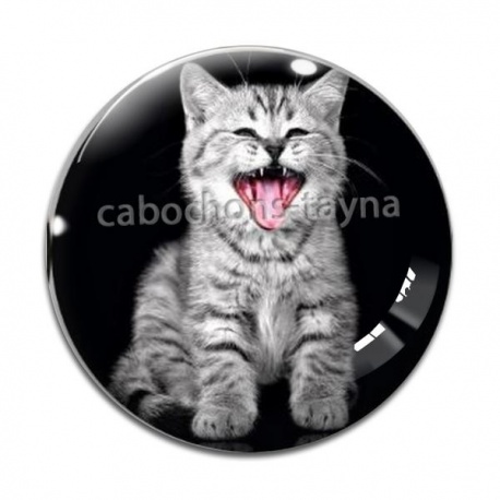 Cabochon Verre - chaton