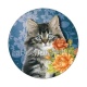 chat