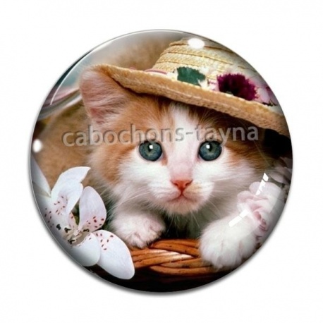 Cabochon Verre - chaton