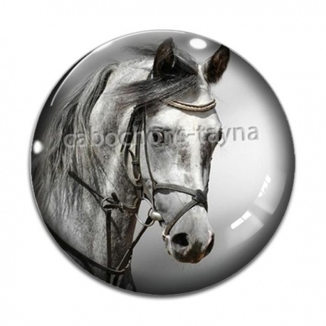 Cabochon Verre - cheval