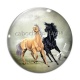 Cabochon Verre - cheval