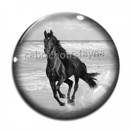 Cabochon Verre - cheval