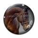 Cabochon Verre - cheval