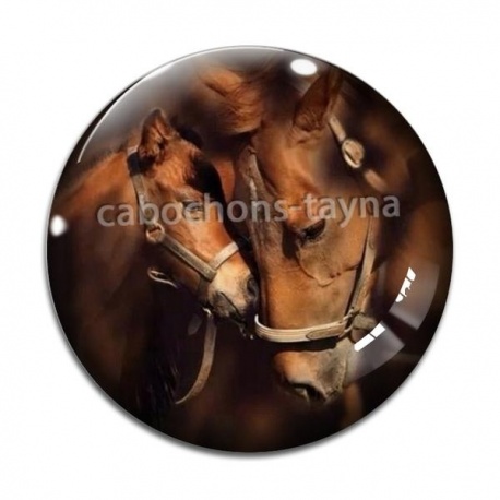 Cabochon Verre - cheval