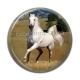 Cabochon Résine - cheval