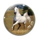 Cabochon Verre - cheval