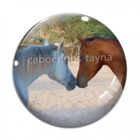 Cabochon Verre - cheval