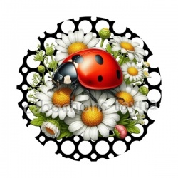 coccinelle