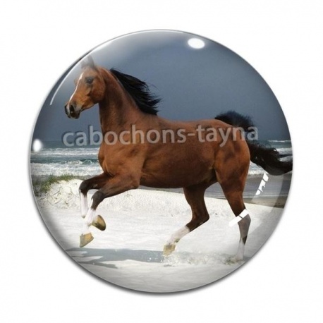 Cabochon Verre - cheval