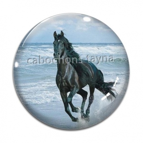 Cabochon Verre - cheval