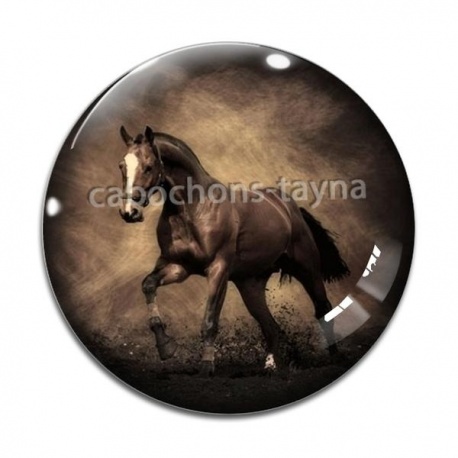 Cabochon Verre - cheval